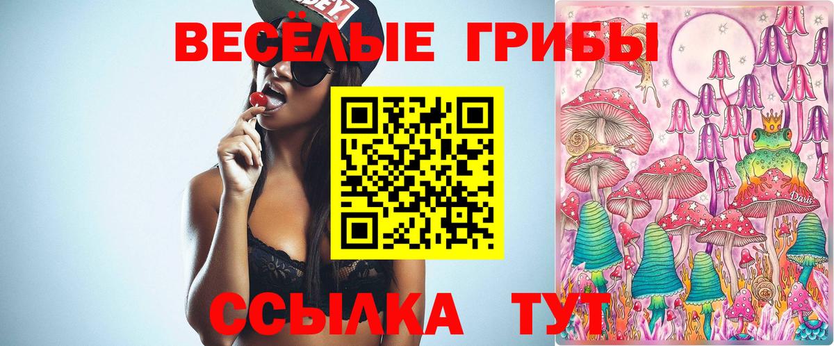 цена наркотик  Галлюциногенные грибы MAGIC MUSHROOMS  Острогожск  Галлюциногенные грибы Psilocybine cubensis 