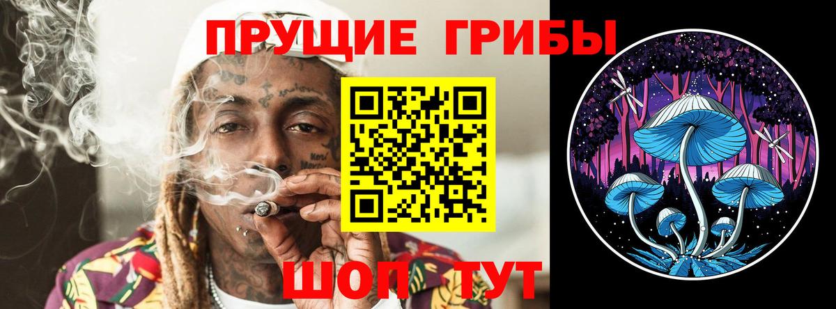 Псилоцибиновые грибы MAGIC MUSHROOMS  Вход с VPN  Острогожск  что такое   Галлюциногенные грибы GOLDEN TEACHER 